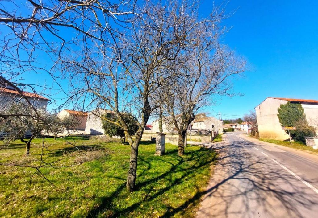 Cozy Apartments And Rooms Pavicini Segotici Luaran gambar