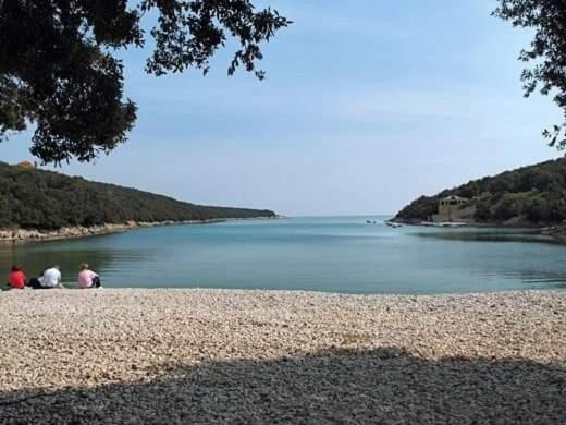 Cozy Apartments And Rooms Pavicini Segotici Luaran gambar